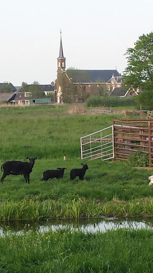 Bed and Breakfast Het Kraaienbosch Zegveld Exterior foto