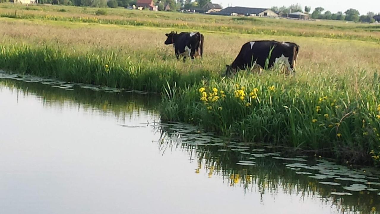 Bed and Breakfast Het Kraaienbosch Zegveld Exterior foto